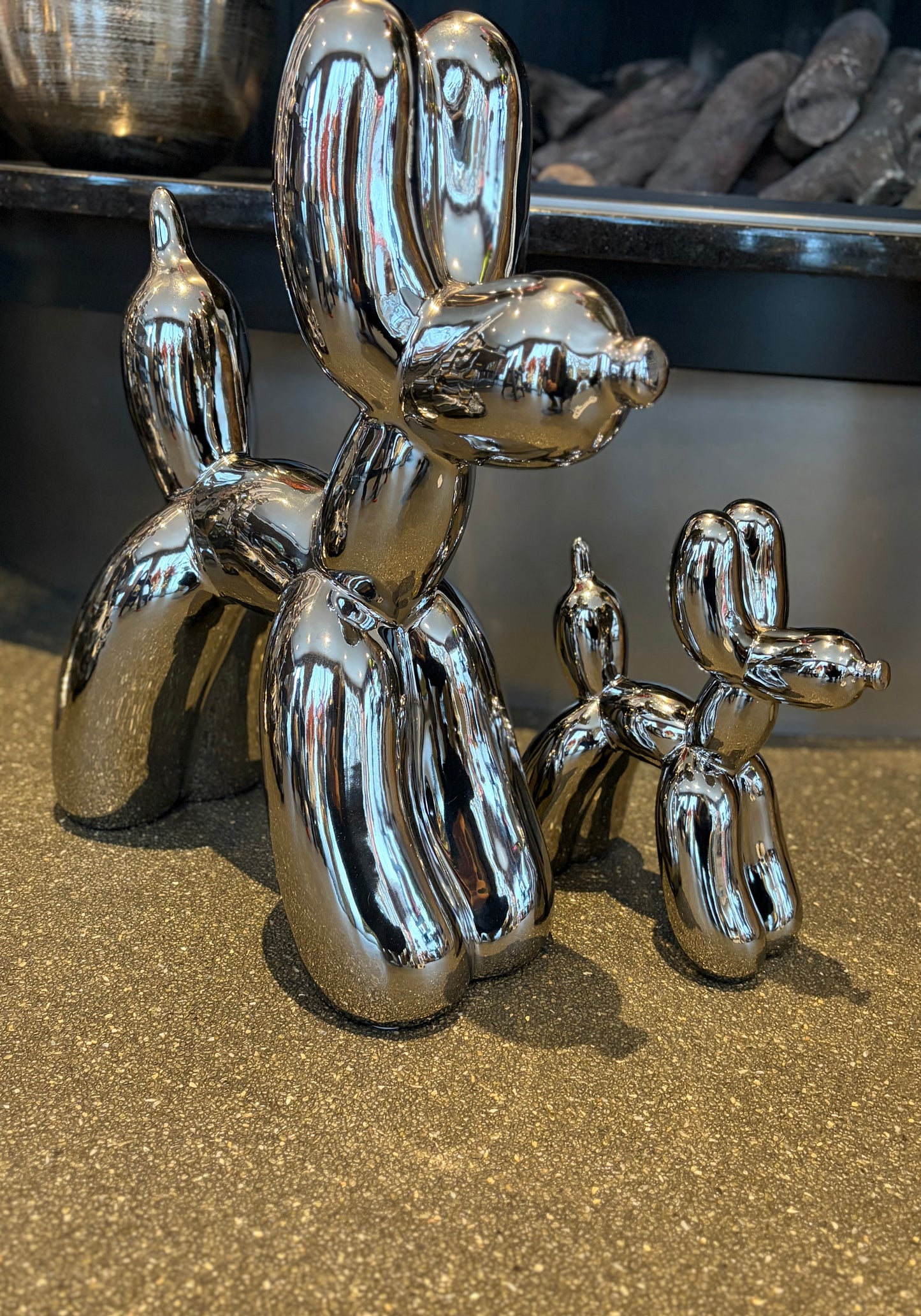 Ballonnen hondjes set